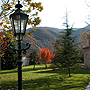 in the monastery yard